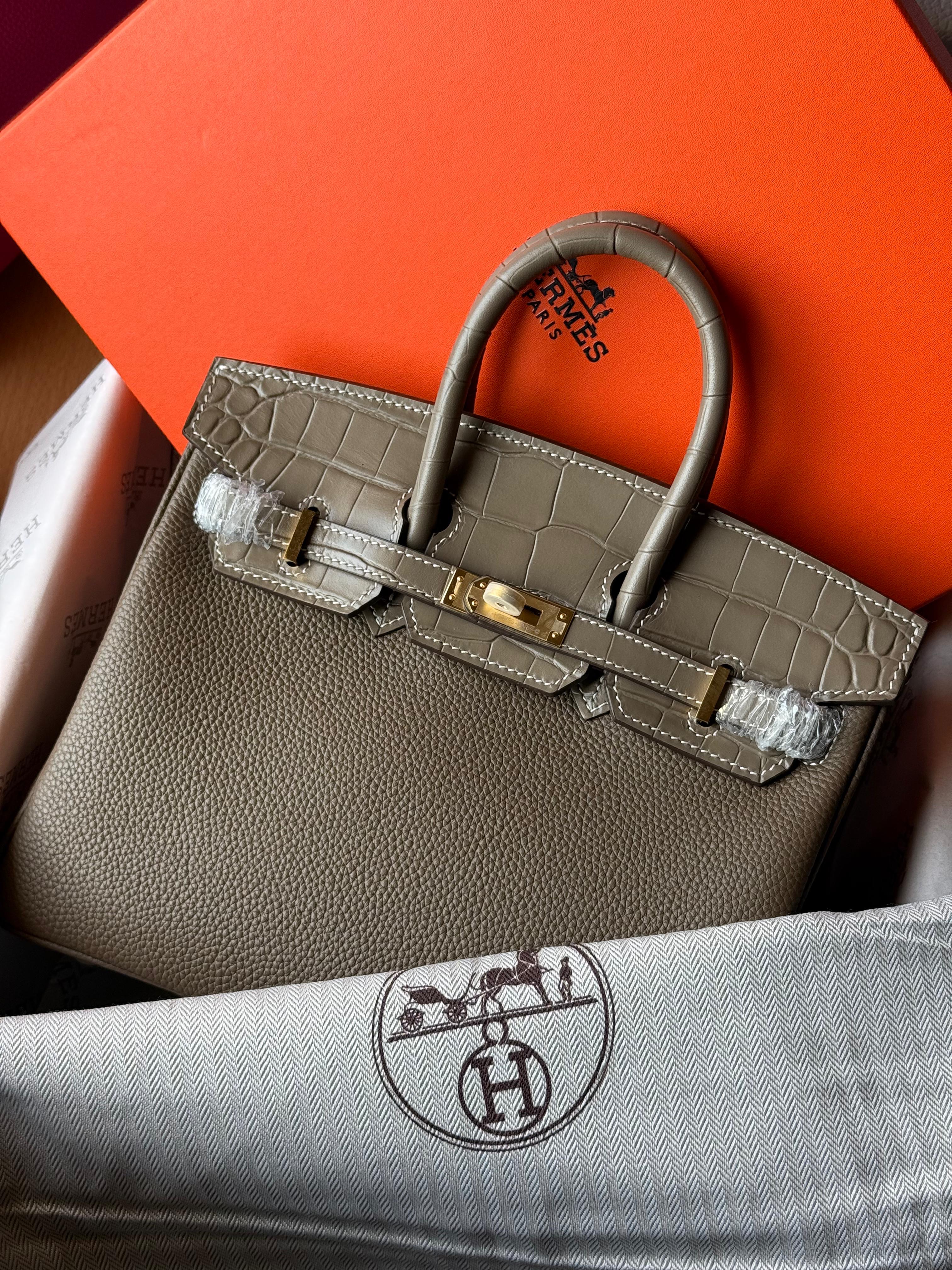 Hermes Birkin croco 25 Cm